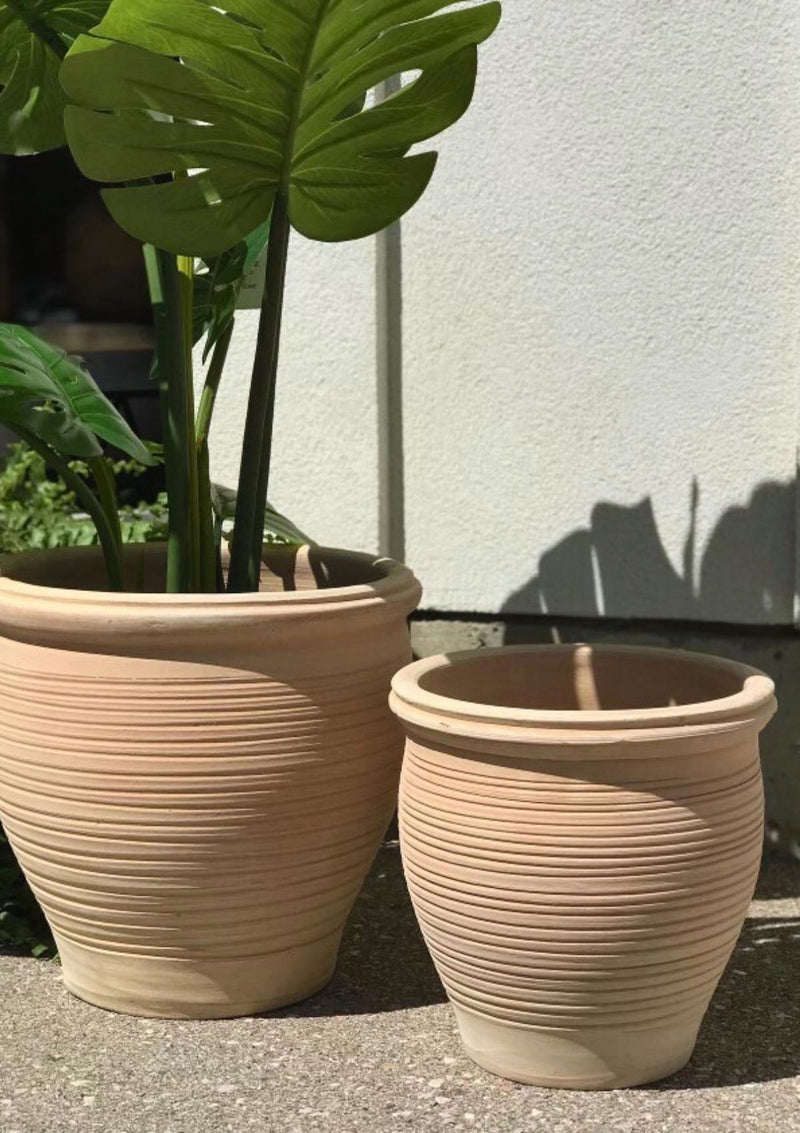 5 Sizes Clay Planter - Spiral