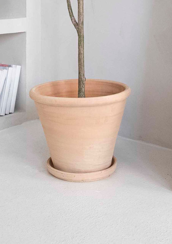 3 Large Sizes Clay Planter -  Oversized Tall