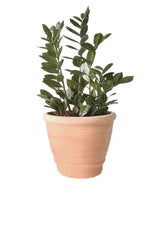 5 Sizes Wide Clay Planter - Wide Natural