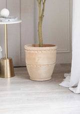 3 Large Sizes Clay Planter -  All Ruffled Up