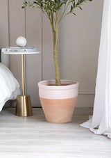 5 Sizes Clay Planter - Half Full Pink Clay Planter