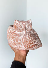 Hoot Hoot Owl Pot - Kawa Canada