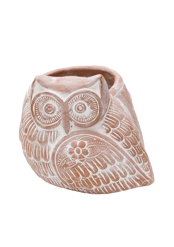Hoot Hoot Owl Pot - Kawa Canada