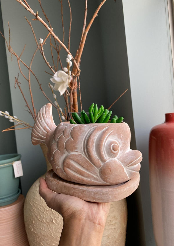 Nemo Fish Clay Pot - Kawa Canada